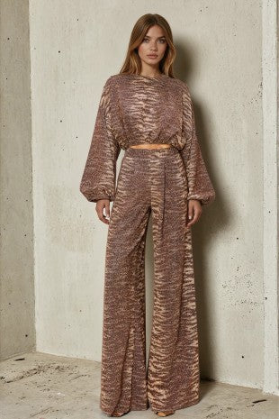 2 Piece Shimmery Set